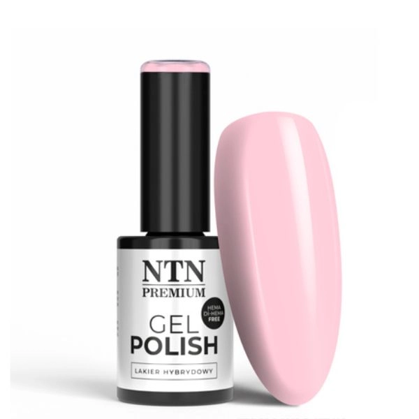 NTN Premium - Hibrid zselés körömlakk Delight Sorbet Collection nr. 148, 5g