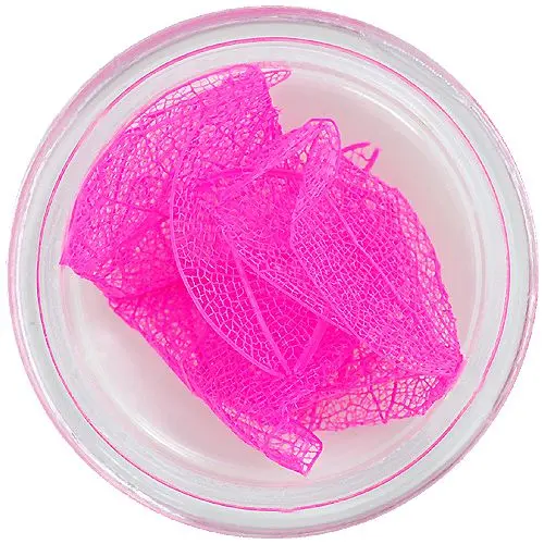 Rózsaszín levelek körmökre – szárított