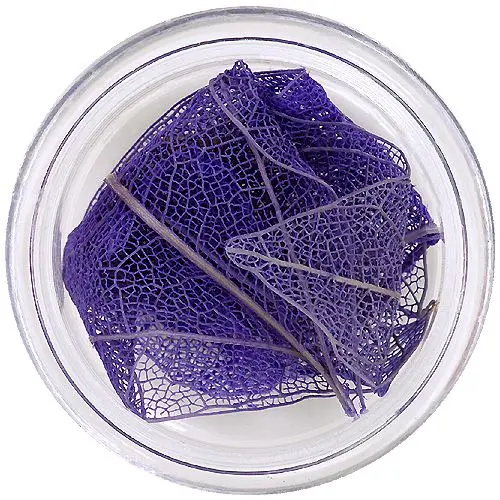 Lila szárított levelek