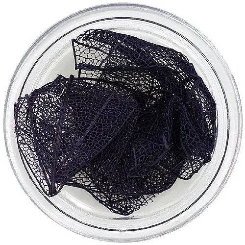 Fekete levelek körmökre – szárított